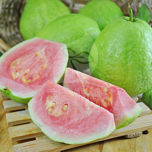 屏東特產紅心胭脂芭樂 5斤禮盒 