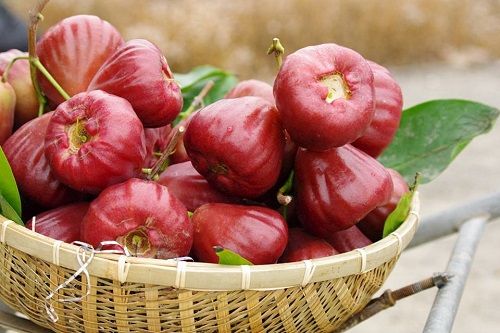 黑金剛水蜜蓮霧禮盒 2公斤裝