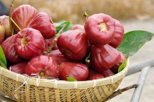 黑金剛水蜜蓮霧禮盒 2公斤裝